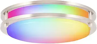 Cloudy Bay 12-Inch Smart Flush Mount